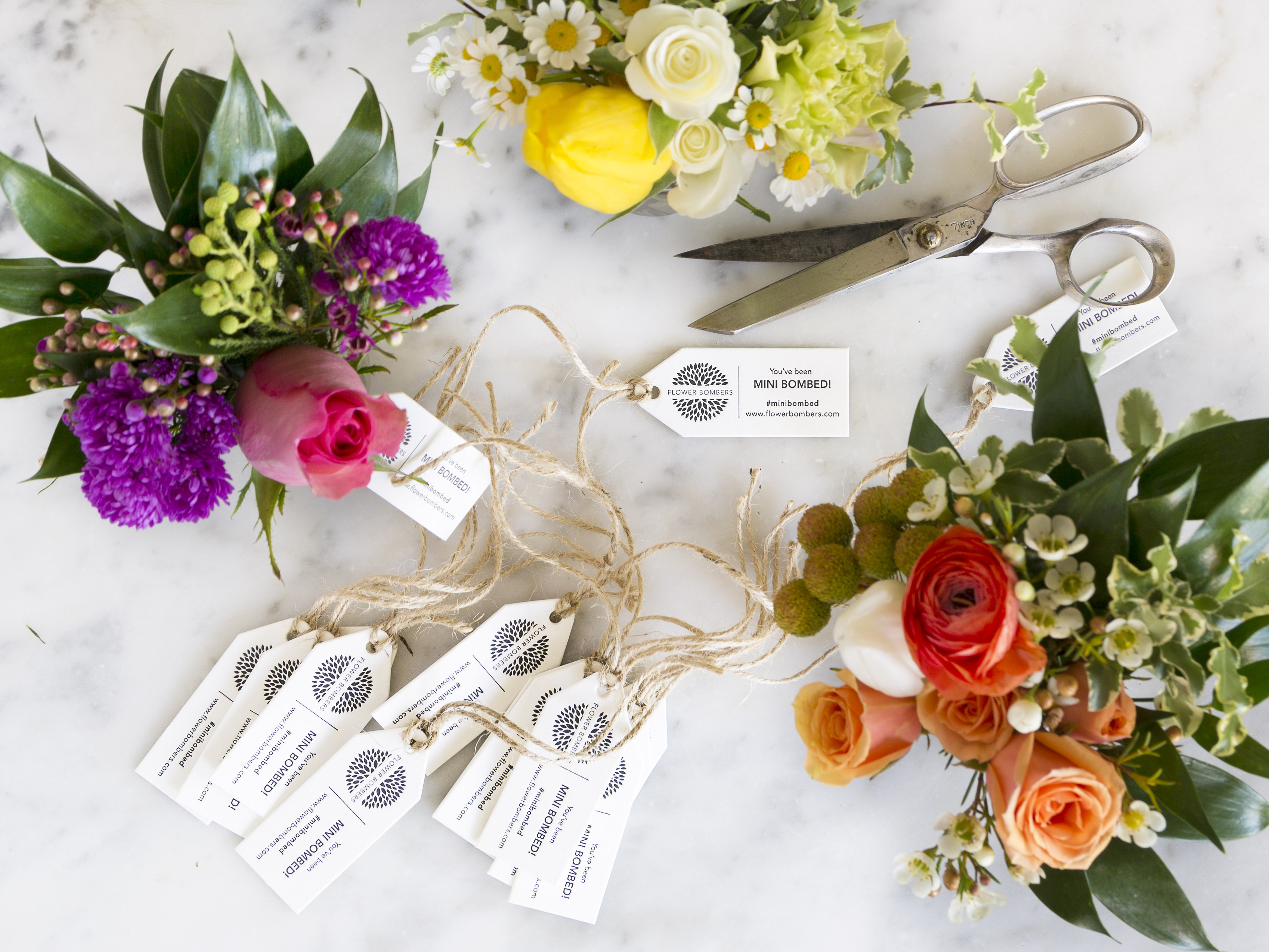 FB_MiniBombscards_800